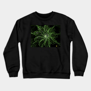 Sea Fern Crewneck Sweatshirt